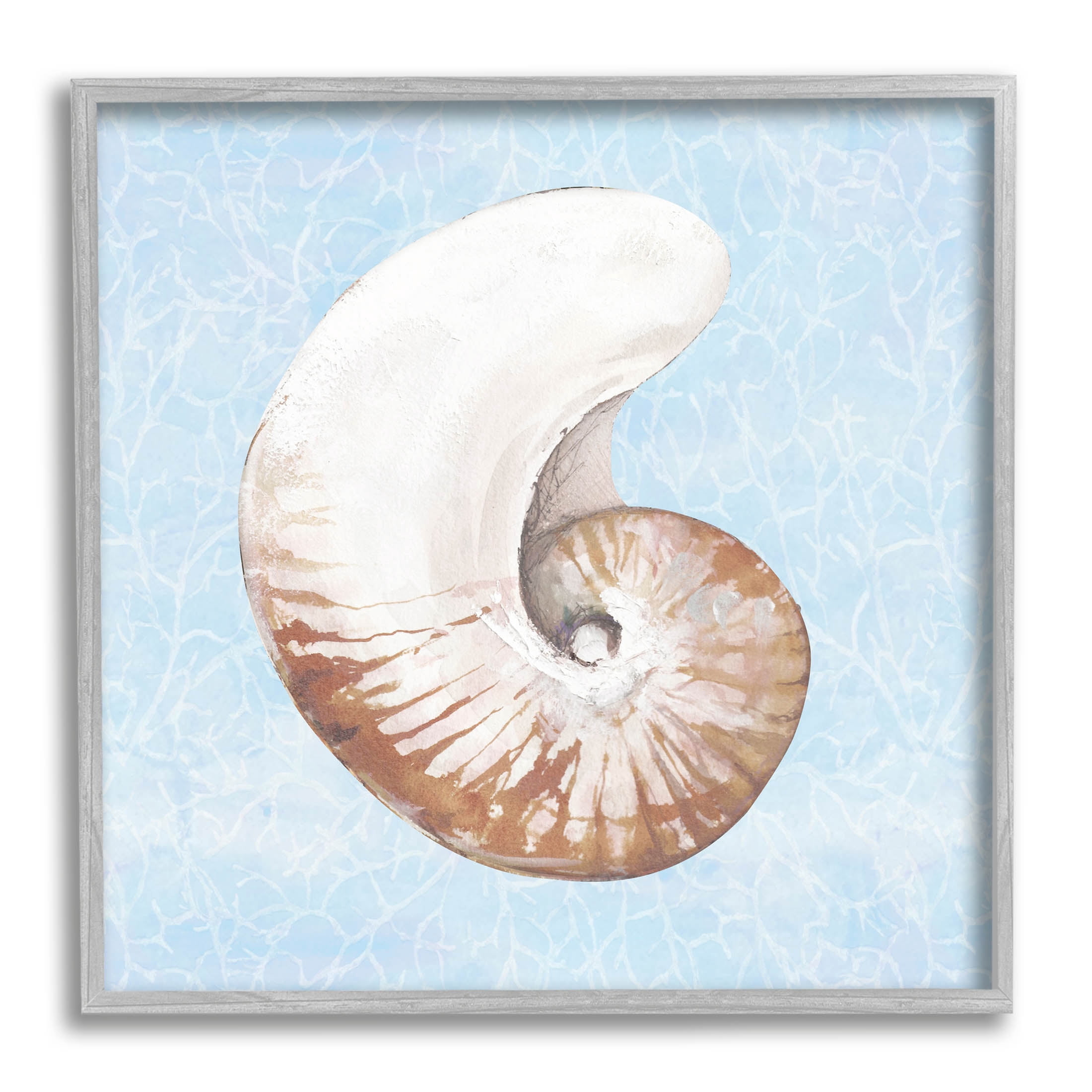 Sea Life Nautilus Water Pattern Animals & Insects Graphic Art Gray Framed Art Print Wall Art