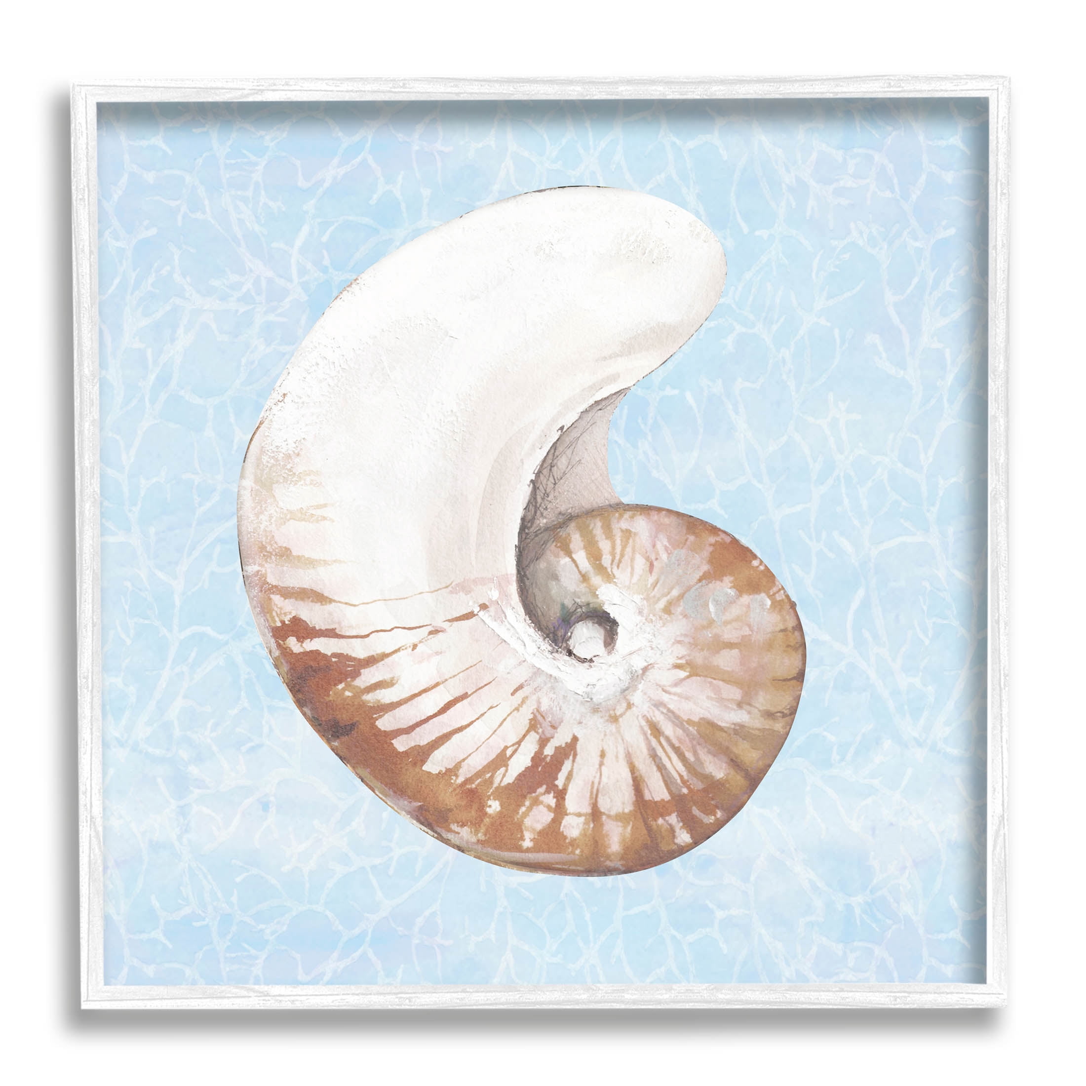 Sea Life Nautilus Water Pattern Animals & Insects Graphic Art White Framed Art Print Wall Art