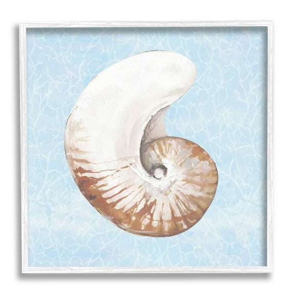 Sea Life Nautilus Water Pattern Animals & Insects Graphic Art White Framed Art Print Wall Art