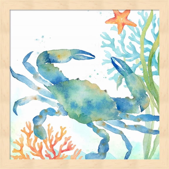 Sea Life Serenade II by Cynthia Coulter, Framed Wall Art, 13.25W x 13.25H