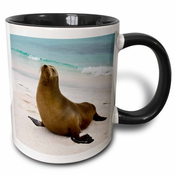 3drose, Sea Lion, Galapagos Islands - Sa07 Rbe0091 - Ralph H. Bendjebar, 11oz Two-tone Black Mug