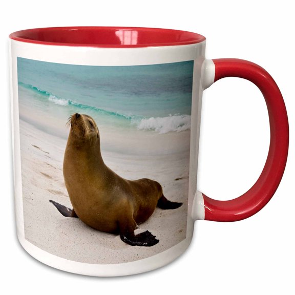 3drose, Sea Lion, Galapagos Islands - Sa07 Rbe0091 - Ralph H. Bendjebar, 11oz Two-tone Red Mug