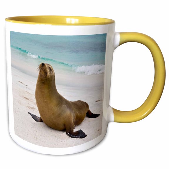 3drose, Sea Lion, Galapagos Islands - Sa07 Rbe0091 - Ralph H. Bendjebar, 11oz Two-tone Yellow Mug