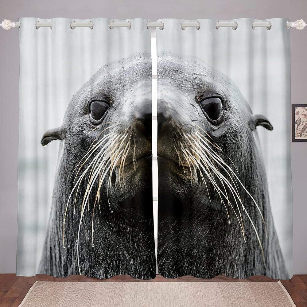 Sea Lion Window Treatment Sea Animal Theme Window Curtains Underwater