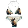 thumbnail image 1 of Sea Lion Women's Detachable Sponge Adjustable Strap Bikini Set - 2 Pack, Beach Pool Swimwear, 1 of 6