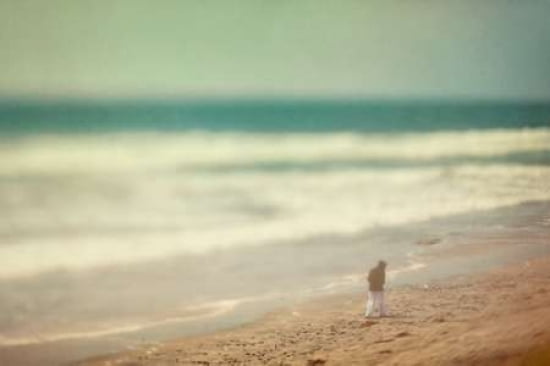 Sea Mist Canvas Art - Roberta Murray (24 x 36)