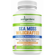 Sea Moss Capsules – 100% Pure Irish Sea Moss, Bladderwrack, Burdock Root – Organic Superfood for Immunity, Joints, Skin, Digestion, Energy - All Natural, Non-GMO, Made in USA - 30 Day Supply