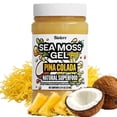 thumbnail image 1 of Sea Moss Gel – Pina Colada 8oz Raw Wildcrafted Irish Sea Moss, Vegan Superfood, Essential Vitamins & Trace Minerals, Jam, Jelly & Spread Gifts, Made in the USA, 1 of 7