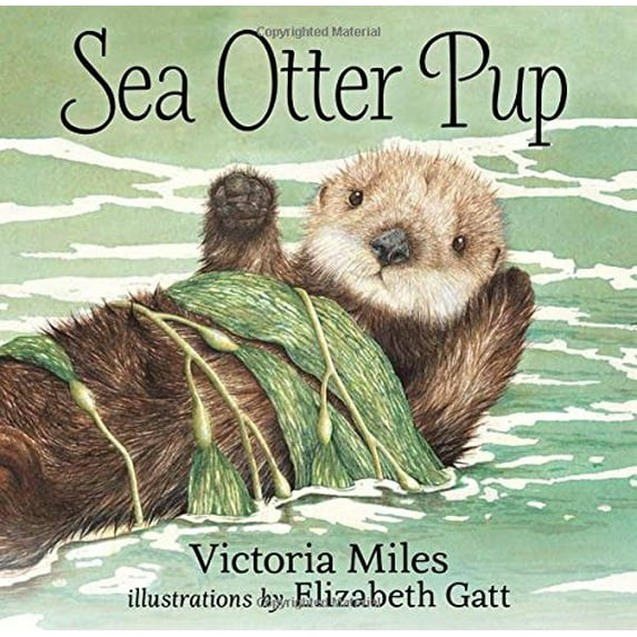Pre-Owned Sea Otter Pup (Board book) 1459804678 9781459804678