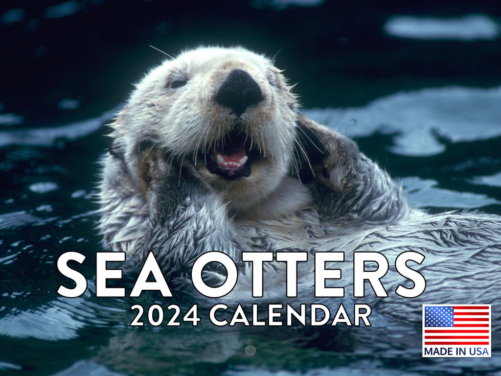 Sea Otter Wildlife Animal 2024 Wall Calendar Sea Otter 2024 Calendar