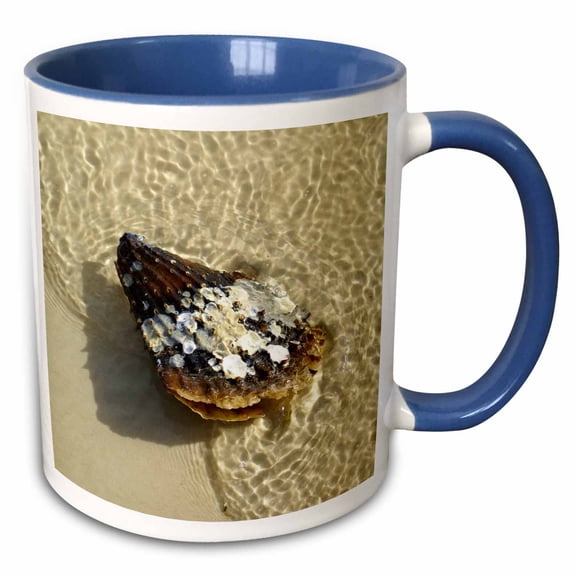 3drose, Sea Scallop Rides the Bubbles, 11oz Two-tone Blue Mug