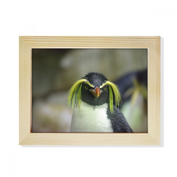 Sea Science Nature Antarctic Penguin Picture Desktop Photo Frame Picture Art Decoration Painting 6x8 inch