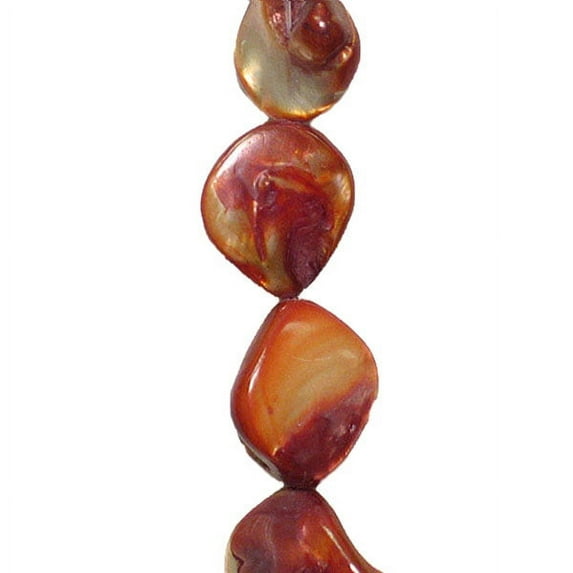 Sea Shell Chunky Beads 12mm-18mm on 16" Strand (20-22 bds)