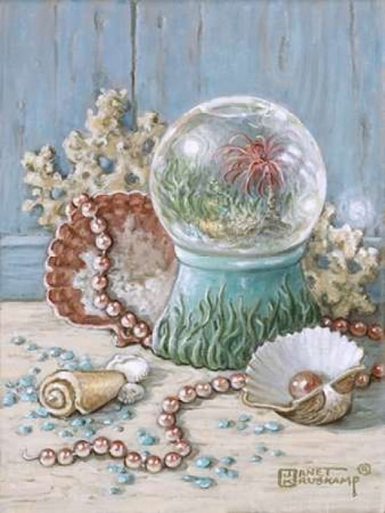 Sea Shell Collection III Canvas Art - Janet Kruskamp (18 x 24)