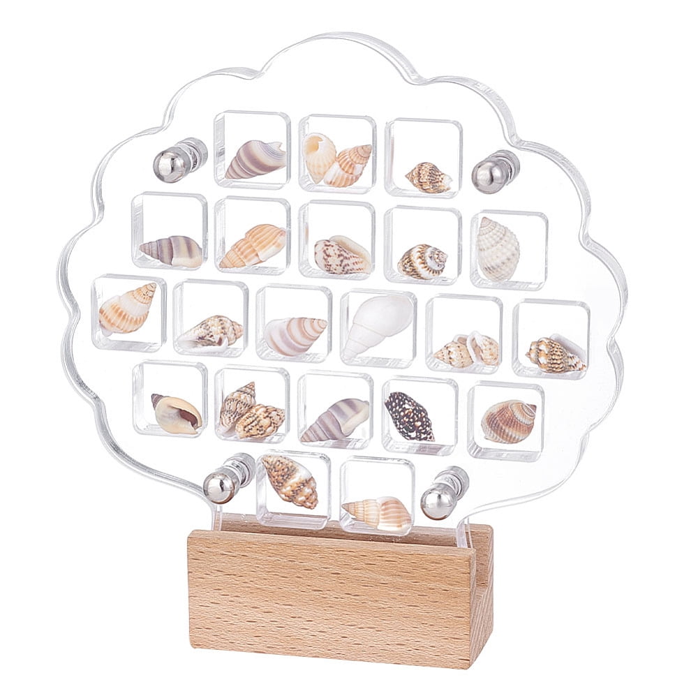 Sea Shell Holder 21 Grids Acrylic Seashell Display Box Seashell Display ...