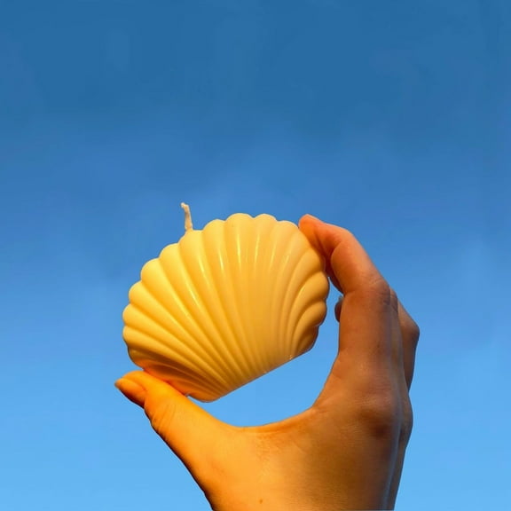 Sea Shell Home Decor Candles, White (Set of 1) Decorative Candle, Sandalwood Scented for Home Decoration