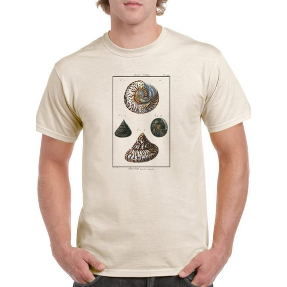 Sea Shell Ii T-Shirt Men -Denis Diderot Designs, Male Large