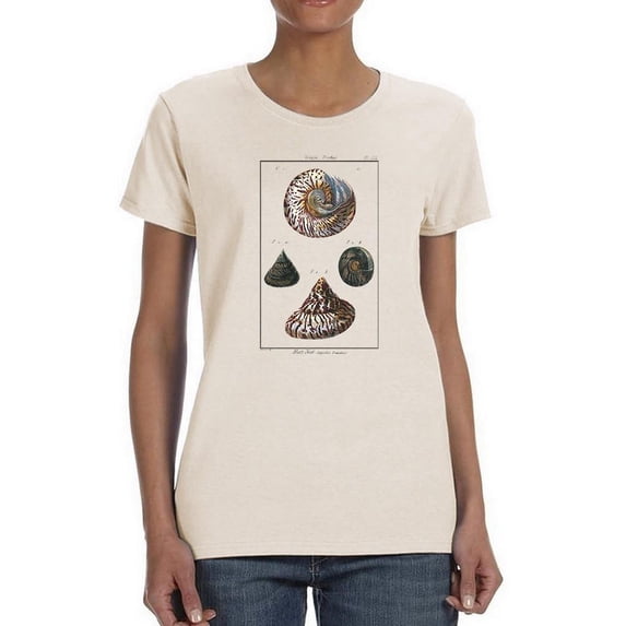 Sea Shell Ii T-Shirt Women -Denis Diderot Designs, Female 3X-Large