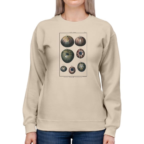 Sea Shell Iv Sweatshirt Women -Denis Diderot Designs, Female XX-Large