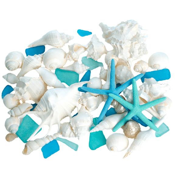 Sea Shell Mix | 1lb Real White Beach Shells with Real Dyed Blue & Green Starfish & Aqua Blue Sea Glass | Vase Filler Craft Centerpiece