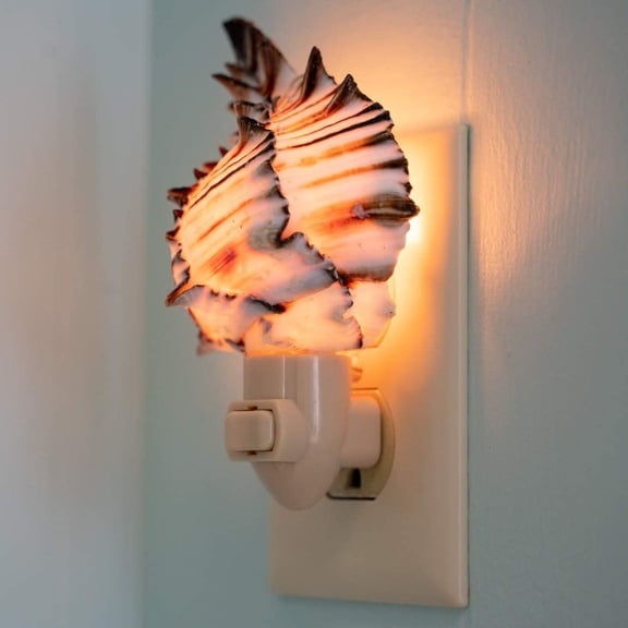 Sea Shell Night Light | Real Black Murex Shell Nautical Night Light | Home Decor