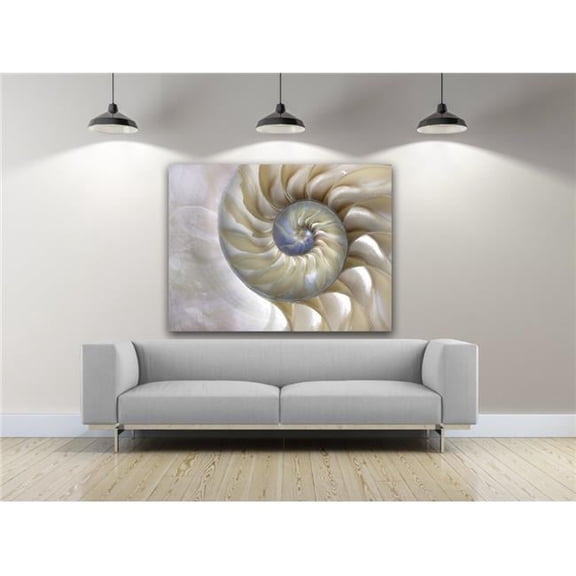 Sea Shell Swirl Photography Canvas Art, 30 x 40 in.