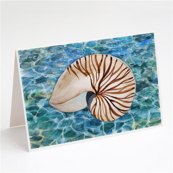 Sea Shell & Water Greeting Cards & Envelopes - Pack of 8
