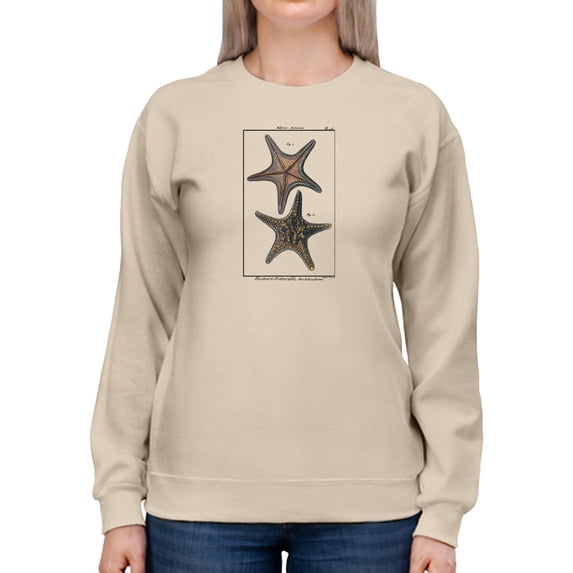 Sea Shell Xii Sweatshirt Women -Denis Diderot Designs, Female Medium