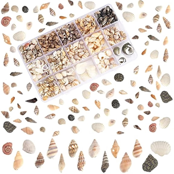 Sea Shells 466pcs 15 Style Spiral Shell Beads Undrilled Tiny Natural Sea Shell Ocean Spiral Seashells Miniature Shells for Resin Candle Party Wedding Decor Fish Tank Vase Filler No Hole