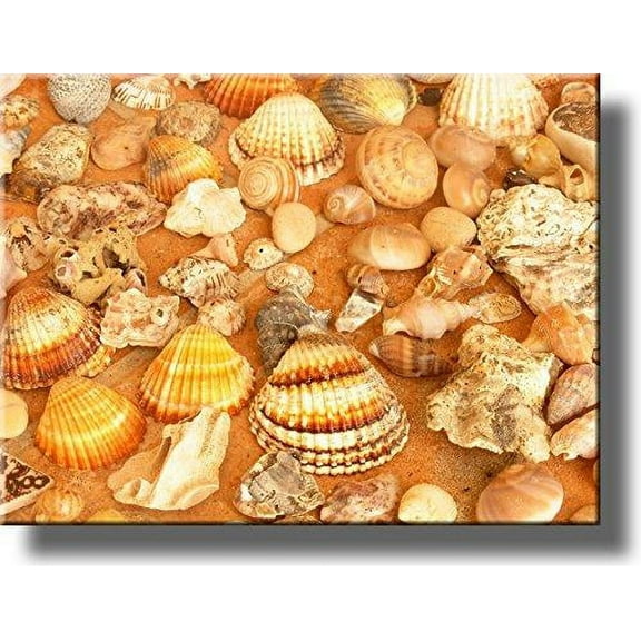 Sea Shells Bathroom Picture on Stretched Canvas, Wall Art Decor, Ready to Hang!