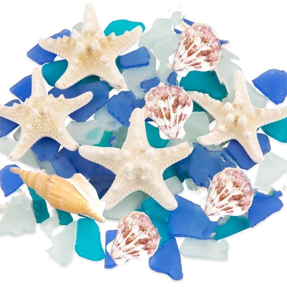 Bexikou Mixed Beach Seashells with Starfish, Conch & Seaglass Pieces Natural Shell Ornaments for Beach Party Decor, Home DIY Crafts, Bathroom & Fish Tank Decorations