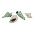 thumbnail image 1 of Sea Shells Collection - Set of 4, 1 of 2