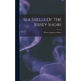 thumbnail image 1 of Sea Shells Of The Jersey Shore (Hardcover), 1 of 5