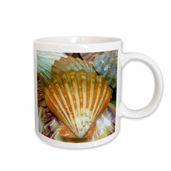 3drose, Sea Shells Up Close, 15oz Mug