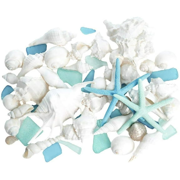 Sea Shells - White Real Mixed Beach Seashells with Starfish & Sea Glass - Shells for Crafts - Ocean Decor - Beach Party Decorations - Seashell Decor - Large Shells Crafts (2lb Beach Shell Mix)