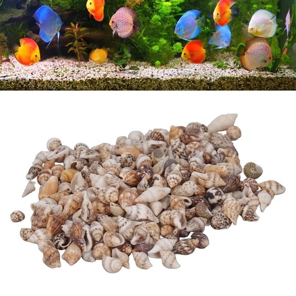 Sea Shells for Decorating Spiral Shells, 1 Can Tiny Sea Shells for Jewelry Making