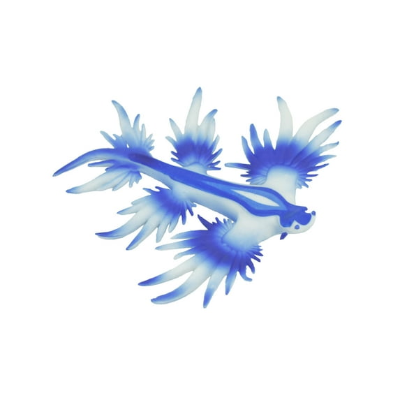 Sea Slug Dragon, Marine Mollusks, Blue, Museum Quality, Hand Painted, Rubber Gastropod, Realistic Toy, Figure, Model, Replica, Kids, Educational, Gift, 3 1/2" CH293 BB179