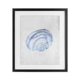 thumbnail image 1 of Stupell Industries Sea Snail Subtle Blue Black Framed Print Under Glass, design by Camila Juncos, 21 x 17, 1 of 10