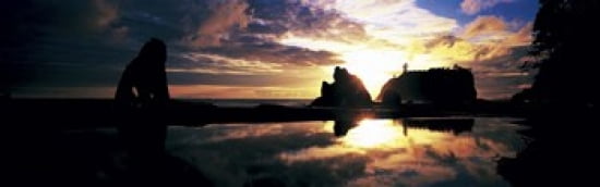Sea Stacks Rialto Beach Olympic National Park WA USA Canvas Art - Panoramic Images (36 x 12)