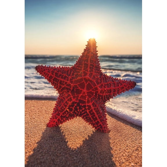 Sea Starfish Standing on the Beach Sunrise Garden Flag 28 x 40 Inch, Double Sided Outdoor Decorative Welcome Yard Flags for Home House Lawn Patio
