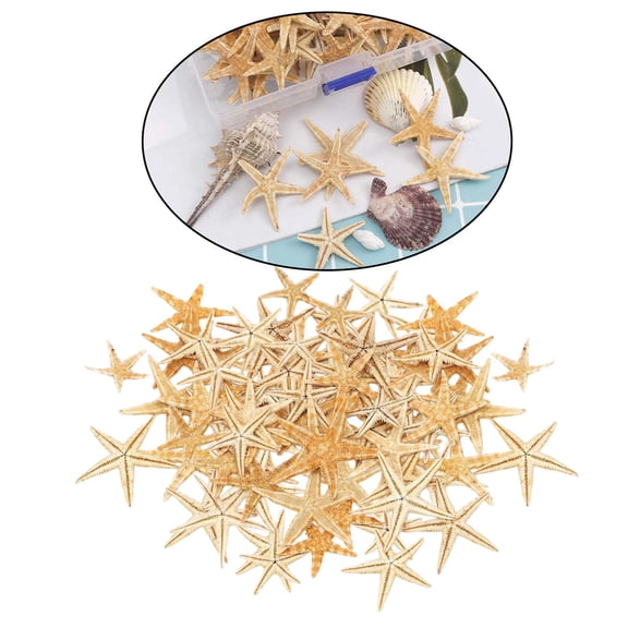 Sea Stars DIY Beach decor Cute Shell Beach Decoration Craft DIY Making - 1-5cm 100pcs