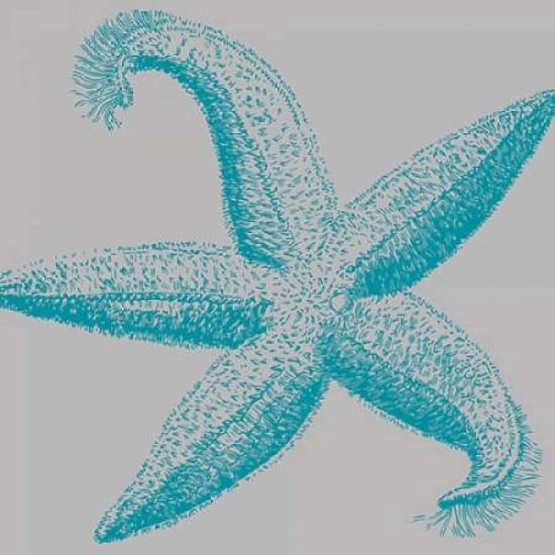 Sea Stars I Canvas Art - Sabine Berg (24 x 24)