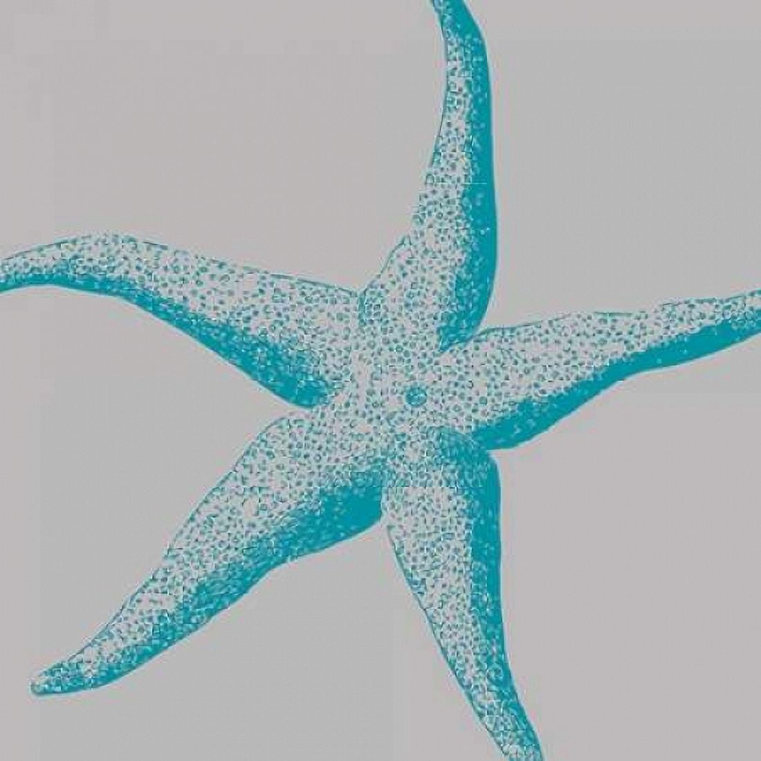 Sea Stars II Canvas Art - Sabine Berg (24 x 24)