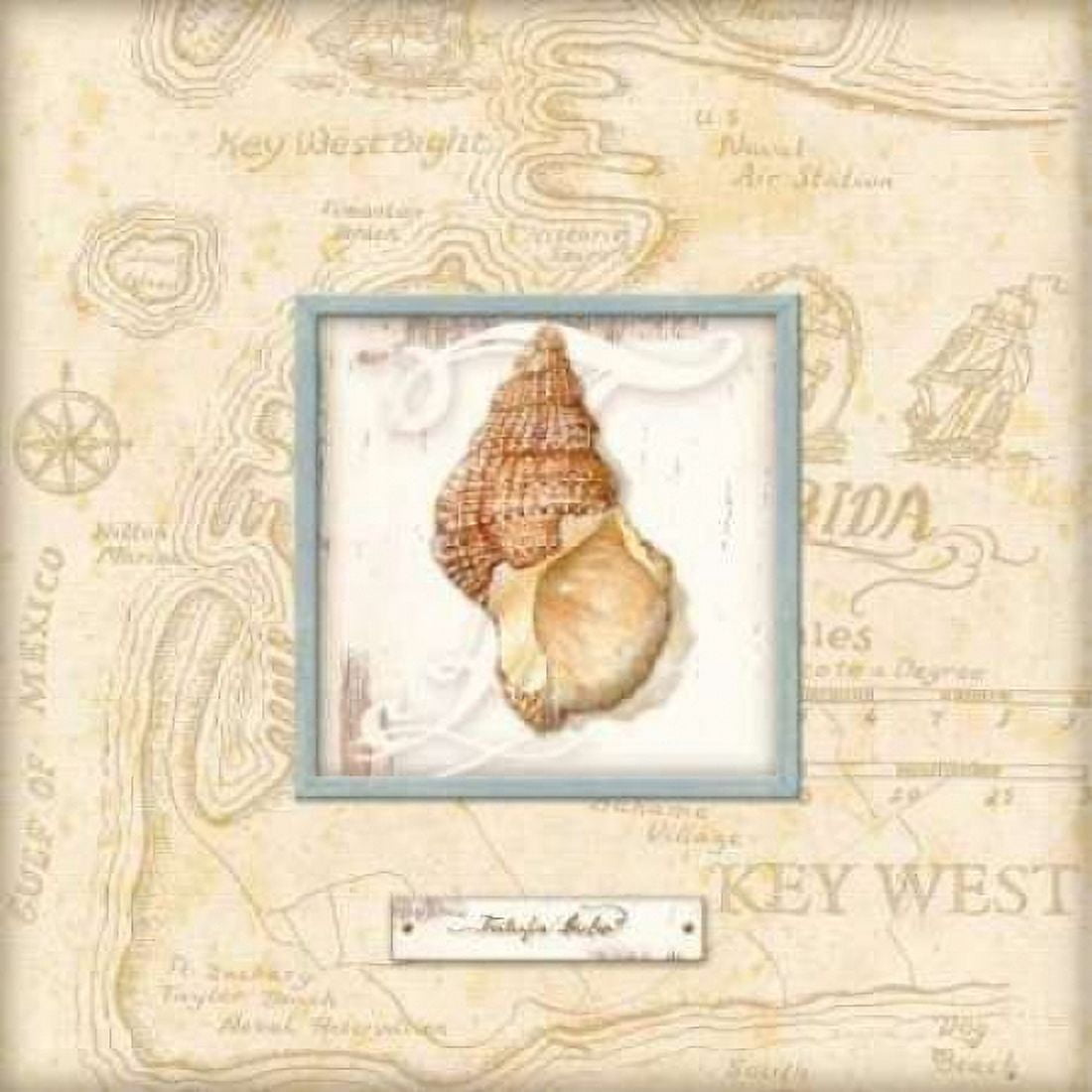 Sea Treasure I Canvas Art - Charlene Audrey (24 x 24)