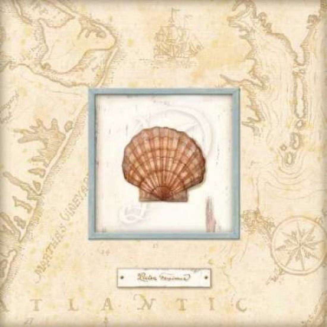 Sea Treasure II Canvas Art - Charlene Audrey (24 x 24)