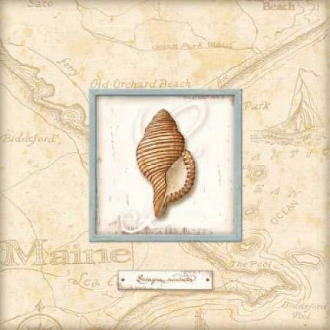 Sea Treasure IV Canvas Art - Charlene Audrey (24 x 24)
