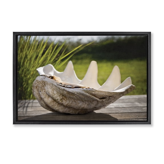 Stupell Industries Sea Treasure Shell Black Framed Floater Canvas Wall Art, design by Seven Trees Design