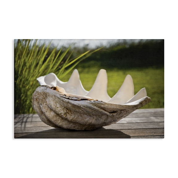 Stupell Industries Sea Treasure Shell Canvas Wall Art, design by Seven Trees Design