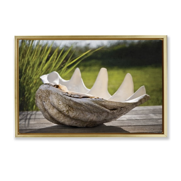 Stupell Industries Sea Treasure Shell Gold Framed Floater Canvas Wall Art, design by Seven Trees Design