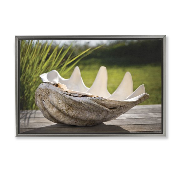 Stupell Industries Sea Treasure Shell Gray Framed Floater Canvas Wall Art, design by Seven Trees Design